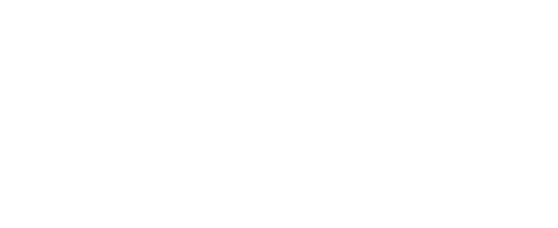 Leonardo DiCaprio Foundation
